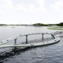 Ponte Cina Hong Kong: si chiama Flipper il progetto più originale