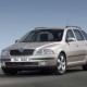 Skoda: le auto ufficiali del Tour 2010 di Luciano Ligabue