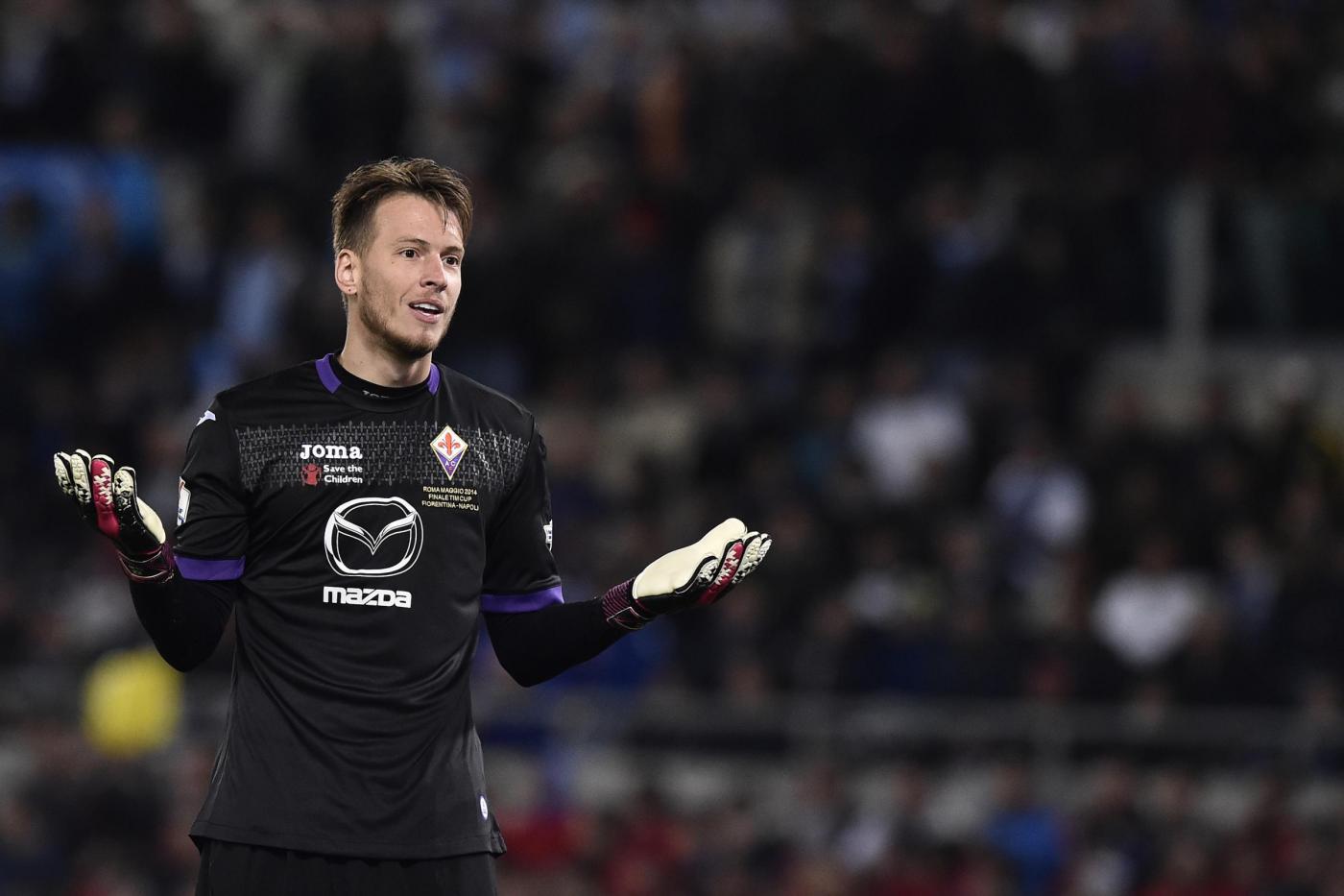 Неромантичные фиалки