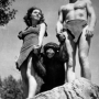 cita la scimmia di tarzan muore a 80 anni