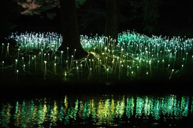 Light design.