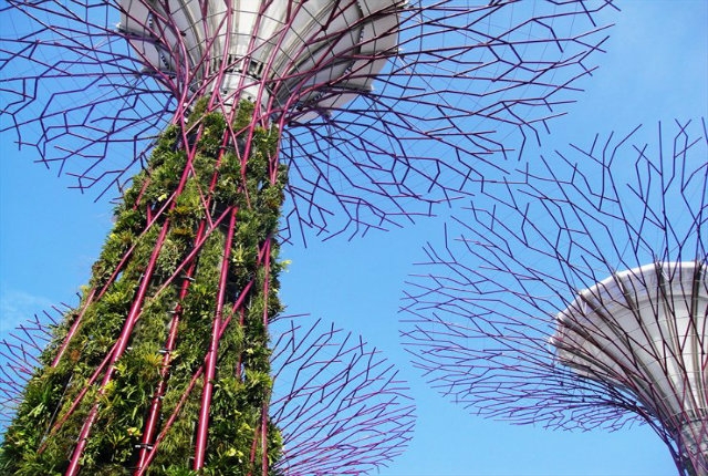 gardens by the bay singapore