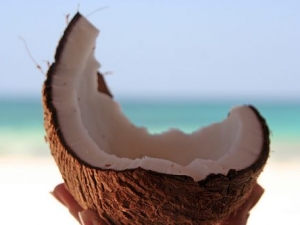 Liquore al cocco per il dopo cena, ecco la semplice ricetta brasiliana.