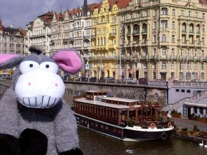 Praga, nasce agenzia viaggi per peluche: fotografati nei posti più suggestivi
