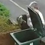 Donna getta gattina nella spazzatura, ma viene ripresa da una telecamera