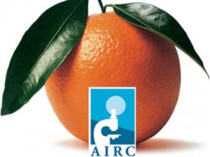 Arance rosse dell'Airc contro i tumori: in tutte le piazze il 29 gennaio.