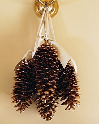Complesso vegetale da una perdita di capelli