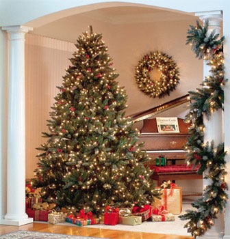 christmas_trees