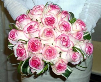 rose-scarlate