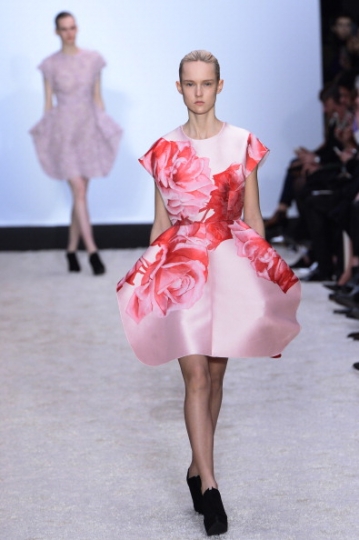 rose-in-passerella