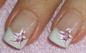 stelle di natale