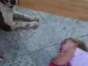 Un cane ulula e fa smettere di piangere una bimba (VIDEO).
