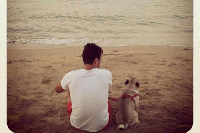 Evviva il cane, amico felice dei vip.