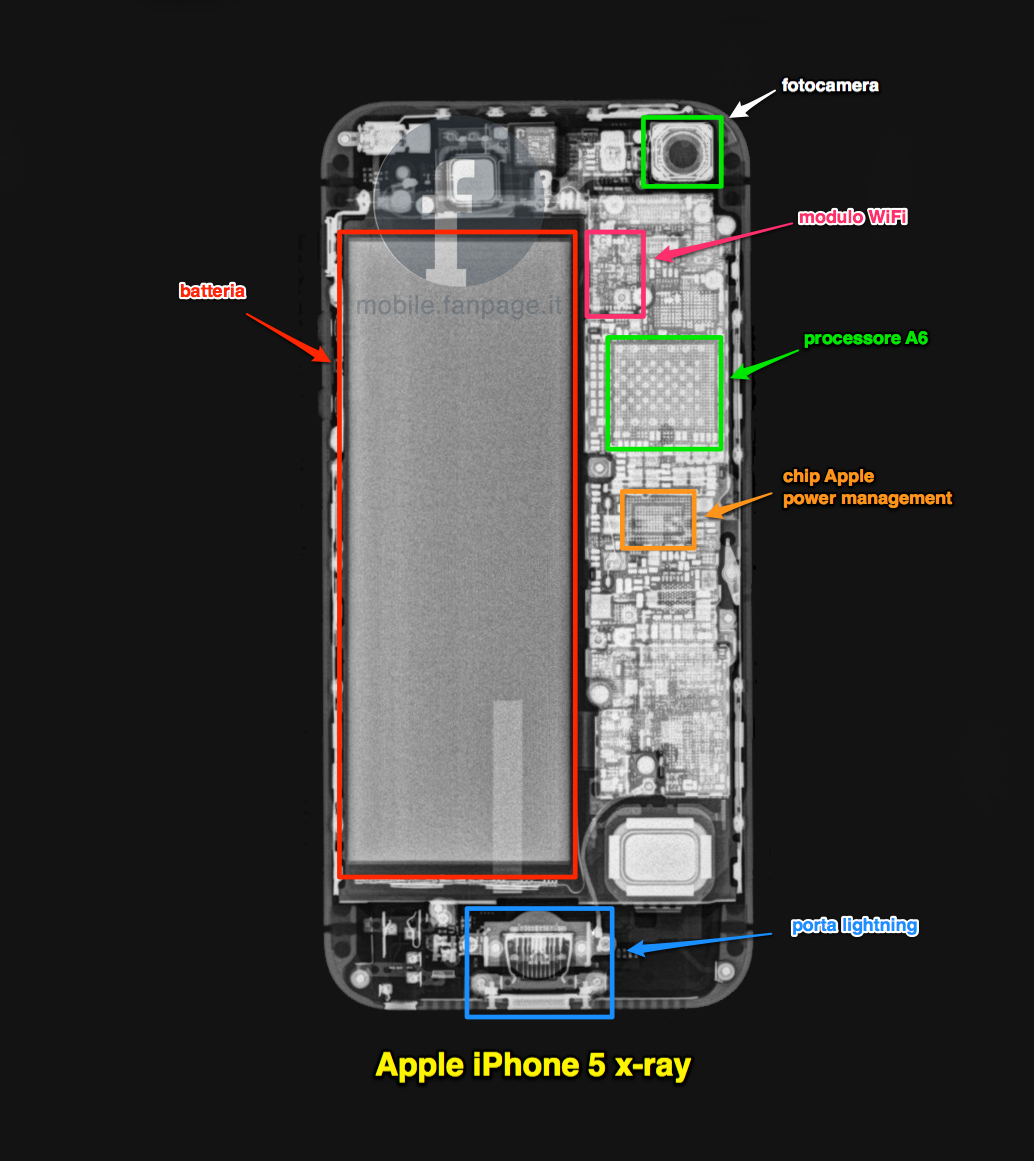 Confronto tra iPhone 5 e iPhone 5S: Caratteristiche e ...