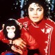 Michael Jackson voleva far parlare la sua scimmia Bubbles