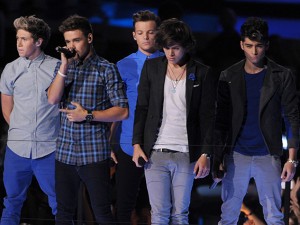 I biglietti dei concerti del One Direction Tour 2013.