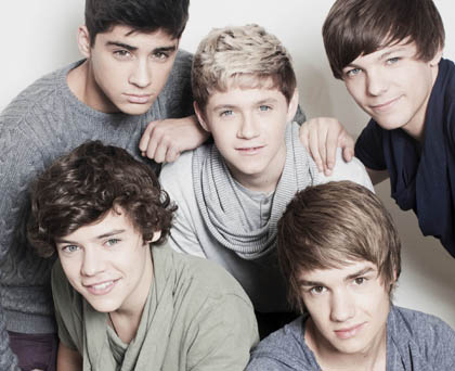Direction Tour 2013 on One Direction