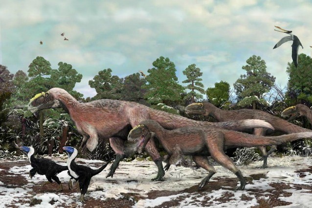 Il Bellissimo Tiranno, scoperto il più grande dinosauro piumato.