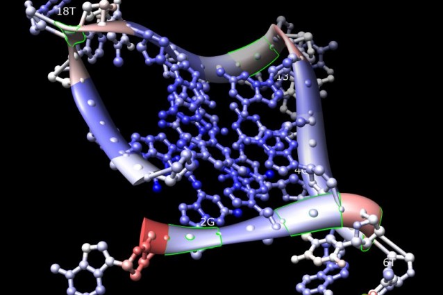 dna_quadruplo