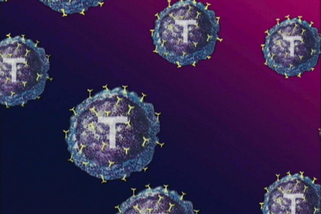 Dalle staminali le cellule killer contro i tumori.