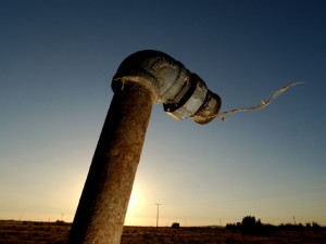 L'ameba mangia-cervello ha invaso il sistema idrico della Lousiana.