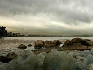 Le creature del mare condannate dalla plastica (VIDEO).