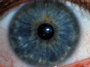 Chi ha gli occhi chiari avverte di meno il dolore