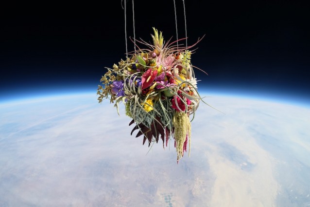 Il bouquet lanciato a 27.000 metri d'altezza (FOTO).