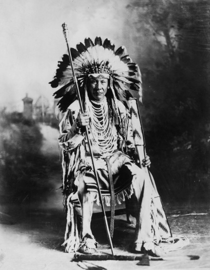 Chief Duck
