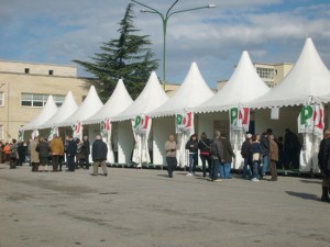 Primarie Napoli: l'analisi dei voti e il sospetto dei brogli.