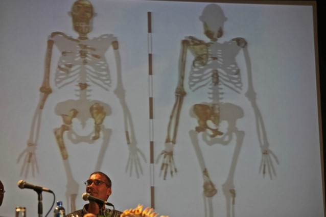 L'antenato più vicino all'uomo è un ominide di due milioni di anni fa (VIDEO).