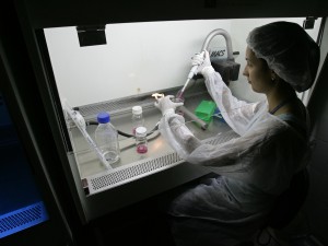 Le nuove linee guida sulla legge 40 del Ministero della Salute impediscono di ricorrere alla fecondazione assistita a chi è portatore di malattie genetiche, nonostante le molte sentenze degli anni passati dei giudici sull'argomento.
