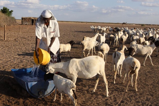 L'impronta idrica dell'umanità.