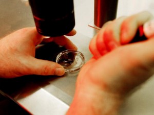 Come si calcolano i giorni fertili.