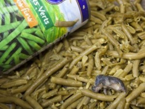 Francia, dal barattolo di fagiolini spunta anche un topo morto.