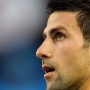Nole e il falco
