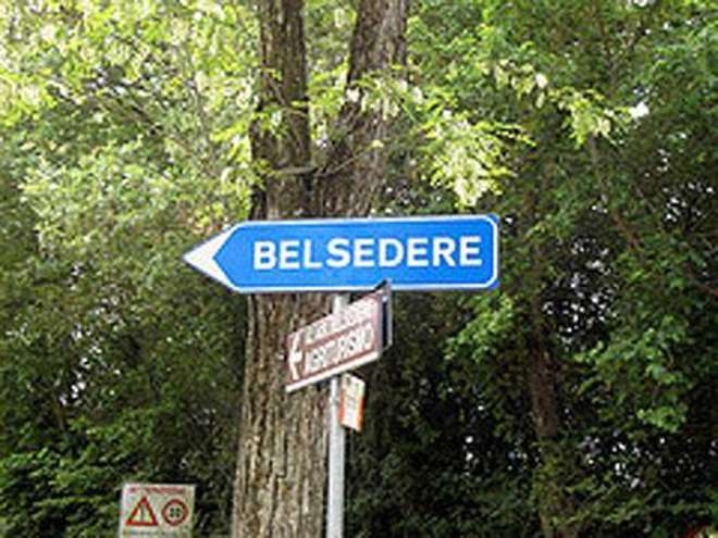 Belsedere