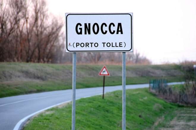 Gnocca