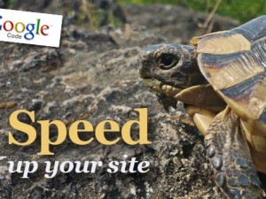 Google testa il nuovo tachimetro Page Speed.