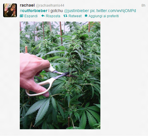 justin-bieber-fuma-una-canna-le-fan-per-protesta-si-tagliano-i-polsi-e-pubblicano-le-foto-su-twitter3