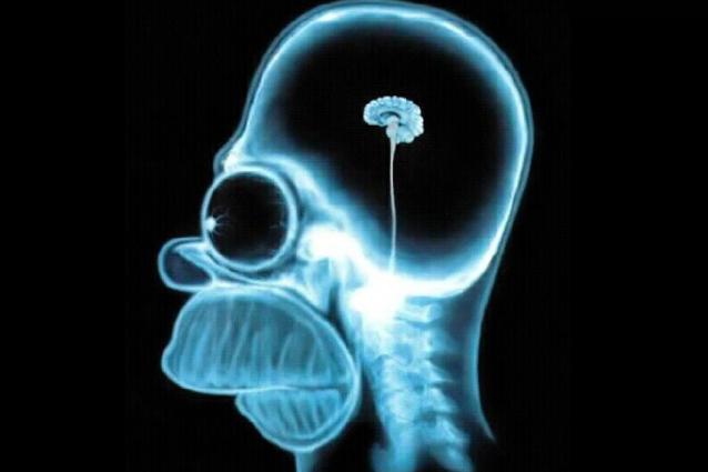 Internet e Google ci stanno facendo perdere la memoria.