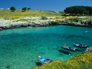 Puglia mare: estate 2010 tra tre vele blu.