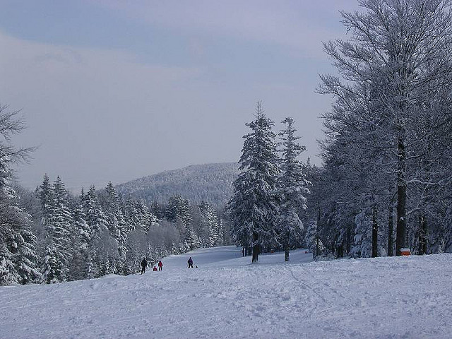 Maribor sci