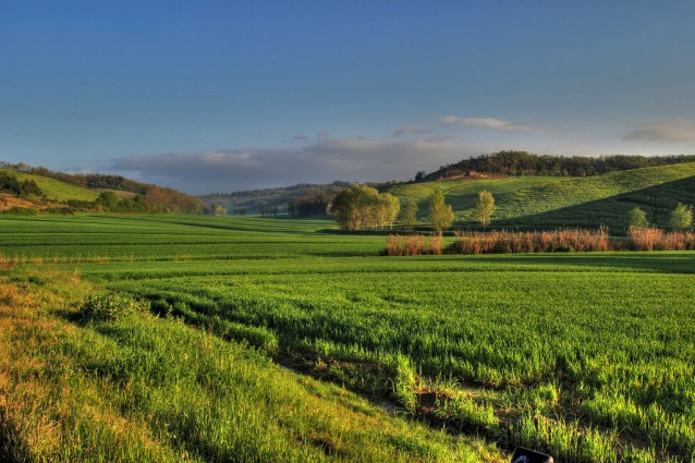 Toscana in auto o in moto: itinerario di 7 giorni tra borghi e campagne.