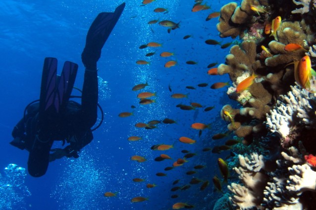 Documenti per l'Egitto: andare a Sharm el Sheikh in tutta tranquillità.