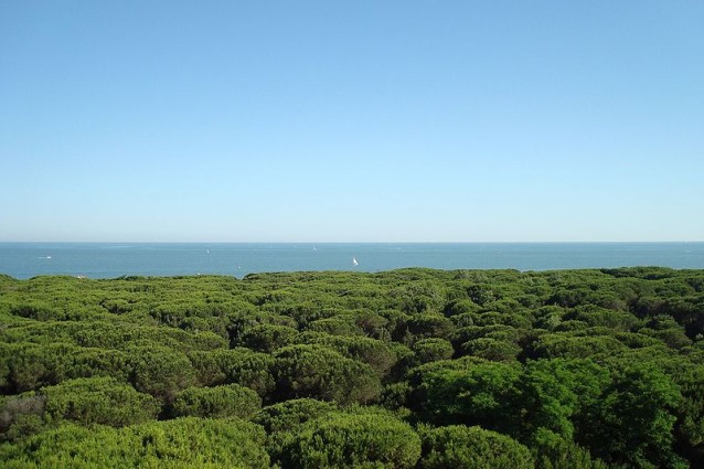 Veneto e Friuli, vacanze al mare nelle spiagge più belle e famose.