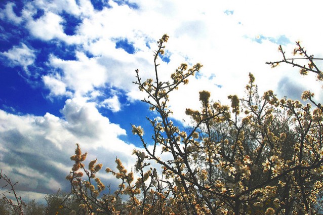 Dove andare in vacanza a marzo: consigli di viaggio per la primavera.