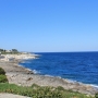Litoranea