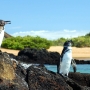 Galapagos, Ecuador