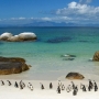 Boulders Beach, Sud Africa